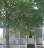1534 Clarence Avenue Berwyn, IL 60402 - Image 289119