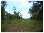 13822 Lake Mary Jane Road Orlando, FL 32832 - Image 290178