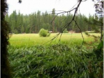 Lot 48 Meadow Lane So. Fresno, CA 93650 - Image 290200