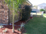 340 Firethorn Drive Gretna, LA 70056 - Image 290550