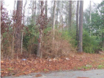 0 CHALLEDON DR Summerville, SC 29483 - Image 291977