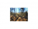 LOT 3 CRYER RD Leesville, LA 71446 - Image 293242