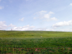 WAGAMAN RD LOT 3 Hagerstown, MD 21740 - Image 294967