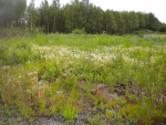 51101 Crestview Ave Kenai, AK 99611 - Image 295288