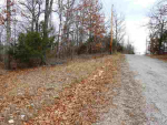 Lts 36,38, County Road 295 Mountain Home, AR 72653 - Image 297525