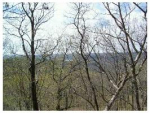 42 Cochise Dr Eureka Springs, AR 72631 - Image 300486