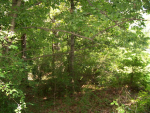 1 N Rogers St Jonesboro, AR 72401 - Image 303159