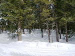 3571 S Beaver Springs Rd Island Park, ID 83429 - Image 306851