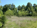 Us Hwy 62/412 Bypass Mountain Home, AR 72654 - Image 307880
