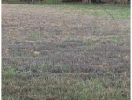 LOT #51 NORTH PARK II Eddyville, KY 42038 - Image 308012