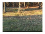 LOT #13 NORTH PARK 11 Eddyville, KY 42038 - Image 308015