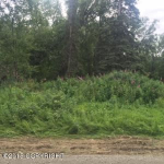 4403 N Ryder Drive Palmer, AK 99645 - Image 308563