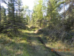 L151 Cloud Berry Loop Nikiski, AK 99635 - Image 312272