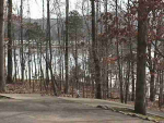 LOT 90 LISANBY Rd Eddyville, KY 42038 - Image 312510
