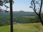 Lts 1 &amp; 2 Hwy 201 South Mountain Home, AR 72653 - Image 314216