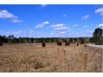 0 Dripping Springs Rd Cullman, AL 35055 - Image 314753