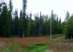 L3 B4 Alexander Road Nikiski, AK 99635 - Image 318760