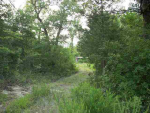 526 Marion County 6070 Flippin, AR 72634 - Image 324128