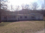 31331 State Hwy 413 Galena, MO 65656 - Image 326270