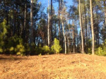 Lot 53 Harbor Oaks Apn# 86808 Denver, NC 28037 - Image 376810