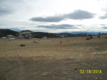 7046 HEIGHTS DR Helena, MT 59602 - Image 384520