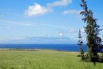 Alalai Road Hawi, HI 96719 - Image 390277