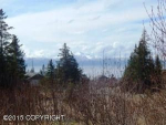 701 Daybreeze Court Homer, AK 99603 - Image 449265