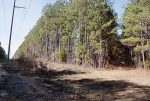 0 Guy Flemming Road Lena, MS 39094 - Image 477338