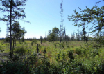 Gl 1 Tall Tree Avenue Anchor Point, AK 99556 - Image 477951