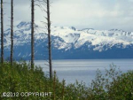 825 Sterling Highway Homer, AK 99603 - Image 492425