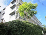 762 Hayes Street Unit 27 Seattle, WA 98109 - Image 493505