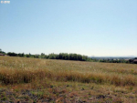 Diamond Ridge Lot 4 Eugene, OR 97408 - Image 494451