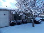 1025 Rutledge Dr Pittsburgh, PA 15241 - Image 505694