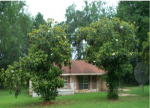 116 Mattox Rd Choudrant, LA 71227 - Image 508889