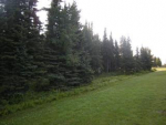 129 Bridge Access Road &amp; 97 Kenai, AK 99611 - Image 517967