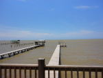 11623 County Road 1 Fairhope, AL 36532 - Image 521636
