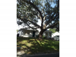 3319 Napolean  Avenue Tampa, FL 33611 - Image 522455