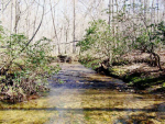 120 ACRE FUNNEL CREEK RD Crossville, TN 38555 - Image 524968