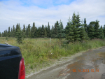 50495 Buoy Avenue Kenai, AK 99611 - Image 529846
