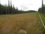 Lot 14 Timber Trail North Pole, AK 99705 - Image 532825