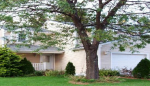 31 Santoro Road Worcester, MA 01606 - Image 533103