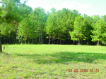 3650 Spears Road Madison, GA 30650 - Image 533635