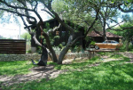 102 Westhaven Dr Austin, TX 78746 - Image 534985