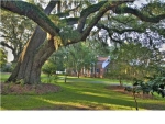 8 Sussex Ct Ladys Island, SC 29907 - Image 559937