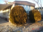 3825 Bettie Ave. Reno, NV 89512 - Image 564888
