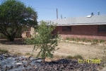 19 Pinon Rd Edgewood, NM 87015 - Image 565167
