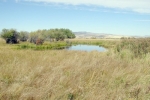 1445 Weaver Road Belgrade, MT 59714 - Image 573233