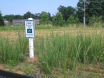 4306 Turriff Ln Fredericksburg, VA 22408 - Image 576950