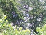 MAURICE RD Sevierville, TN 37876 - Image 577989