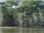 2130 STATE RD Summerville, SC 29483 - Image 585120
